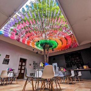 Bkl Hotel Oaxaca
